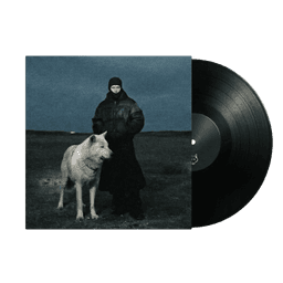 Vinyl record preview